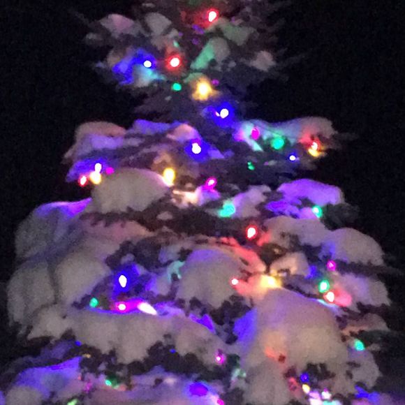 Meet your Posher, Tina - Picture 1 of 1